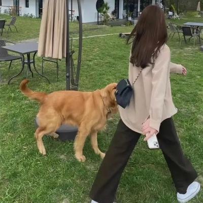 致命骗局