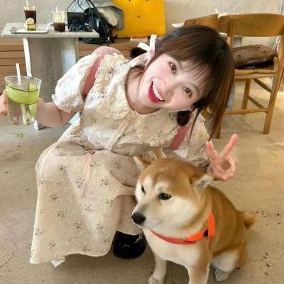 暗金丑岛君